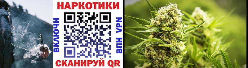 Бошки Шишки Куса