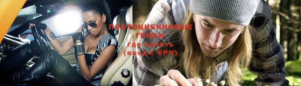 дмт Беломорск